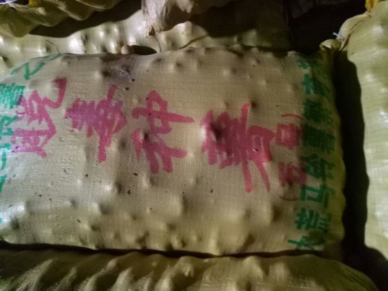 中薯5号土豆2两以上通货