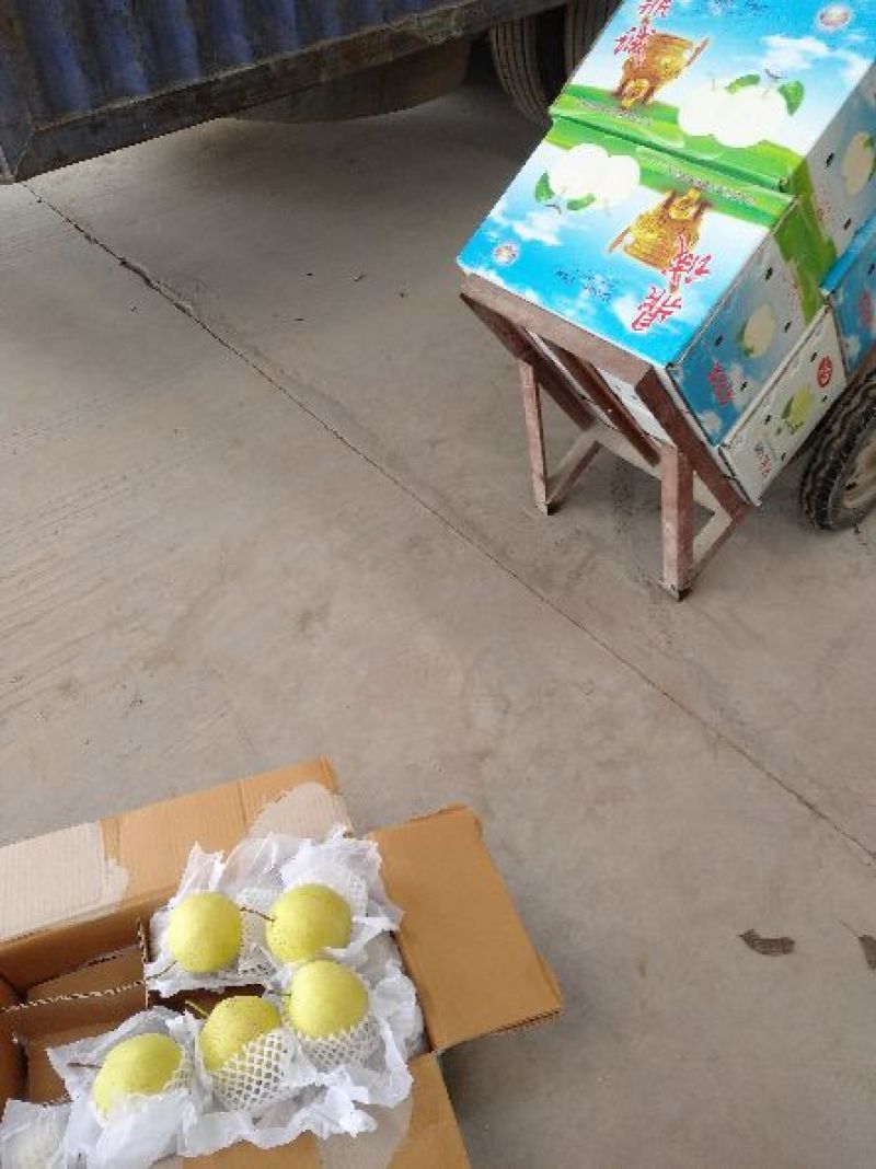 雪花梨350~400g纸箱