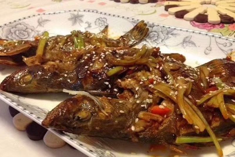 鳜鱼40~50cm食用活鱼
