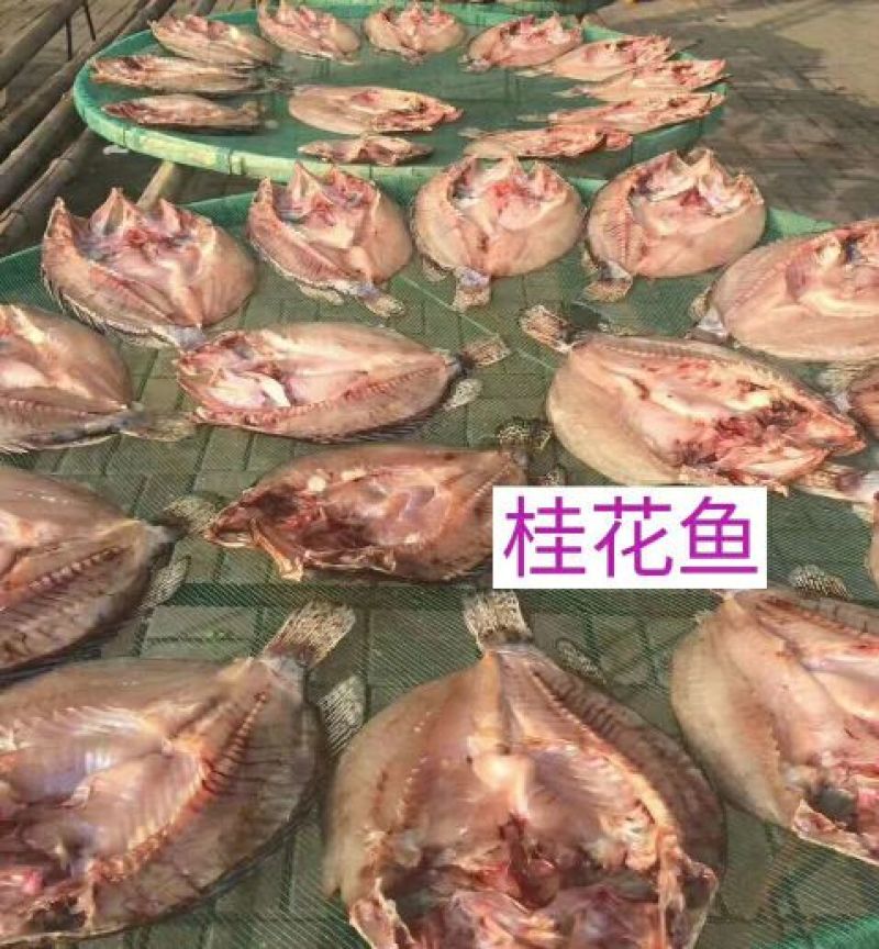 鳜鱼40~50cm食用活鱼
