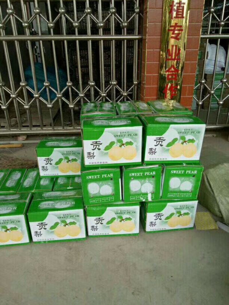 酥梨纸袋250~300g