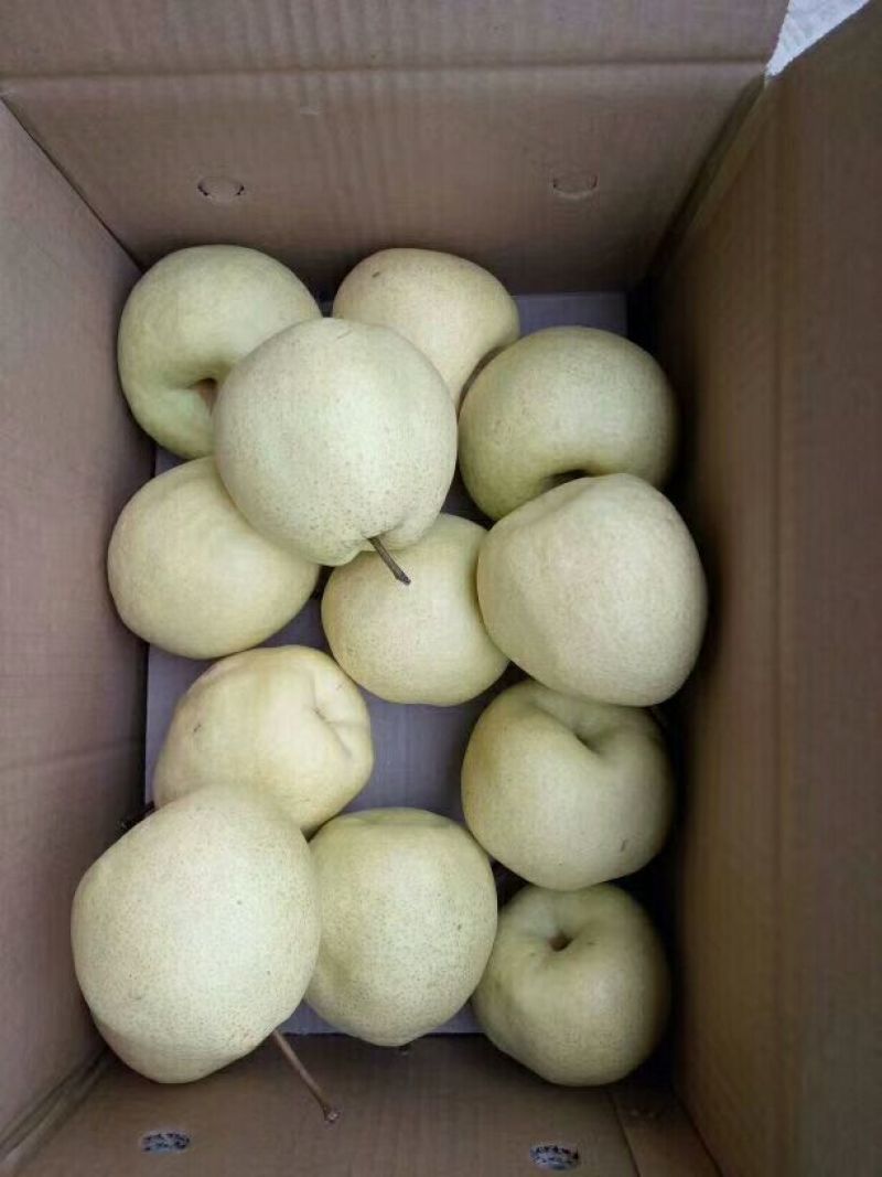 酥梨纸袋250~300g