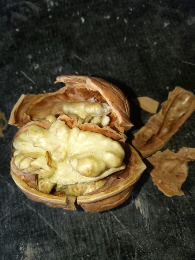 薄皮核桃去皮干