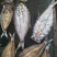 咸鱼