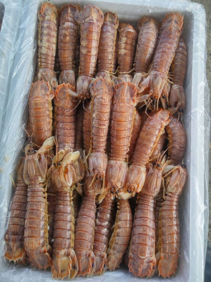 虾皮二级