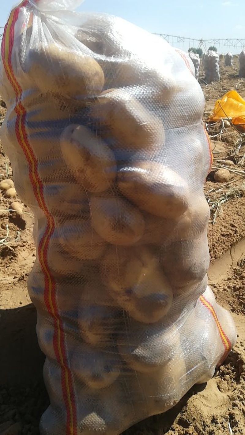 v七精品三两起步质量杠杠的基地直采商超对接全年供货