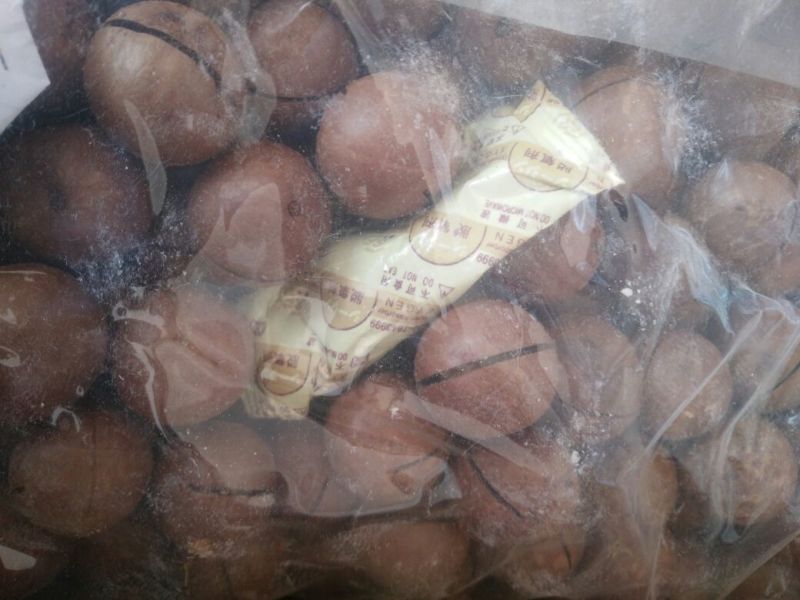 夏威夷果带壳