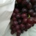 红宝石葡萄5%以下1.5~2斤