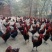 华北柴鸡12月以上