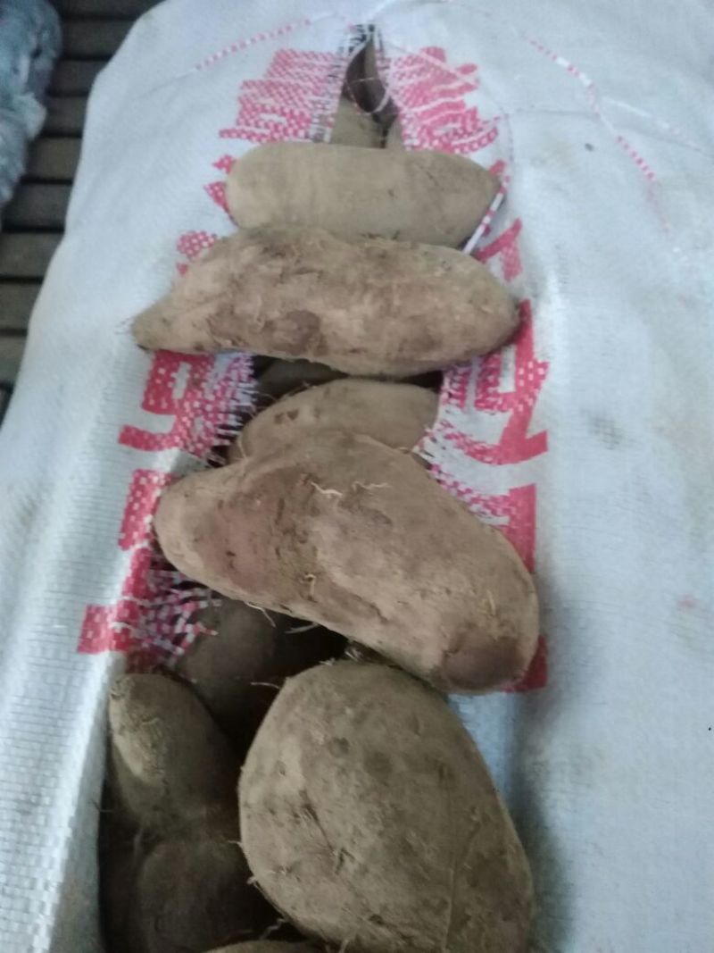 紫薯紫心2两以上