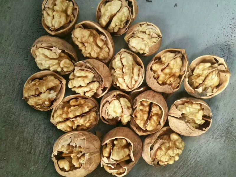 薄皮核桃去皮30mm以上干