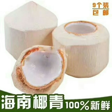 海南椰子3~4斤