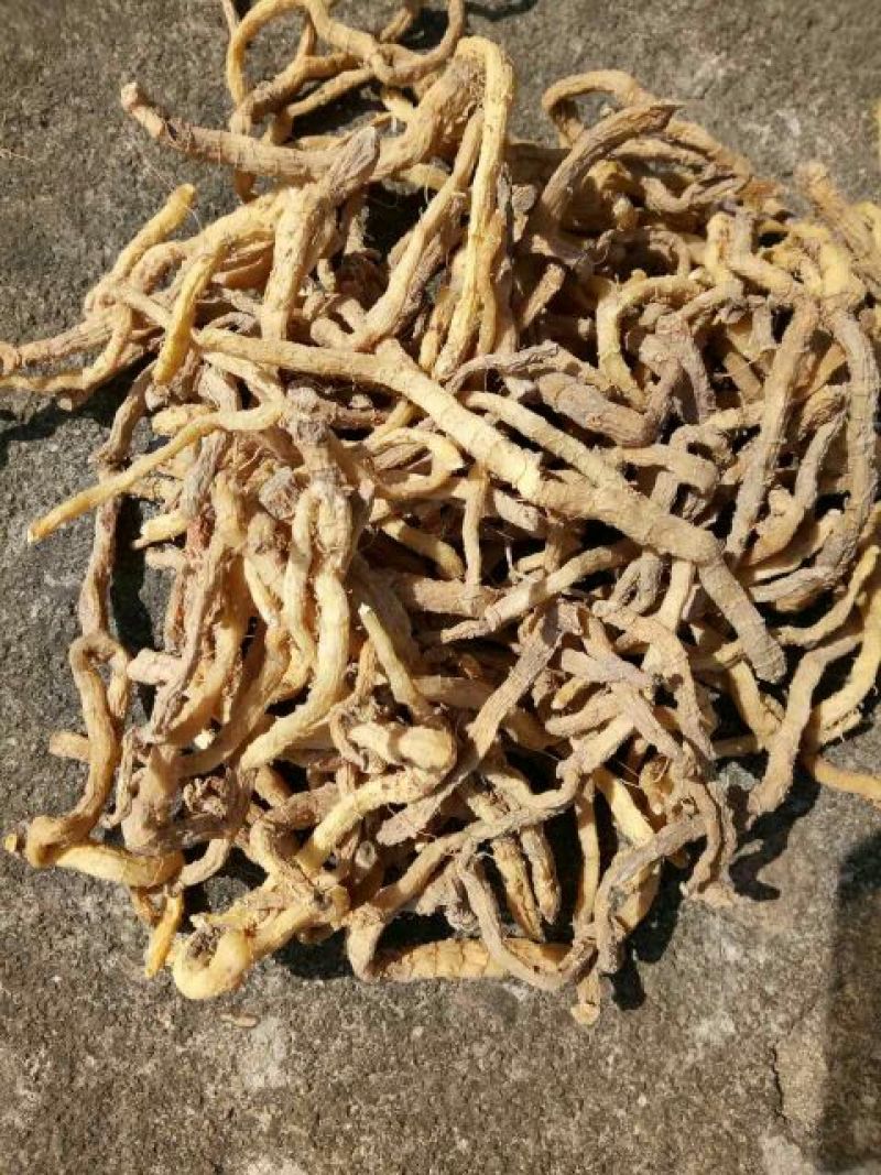玉竹条玉竹种苗，干货都有