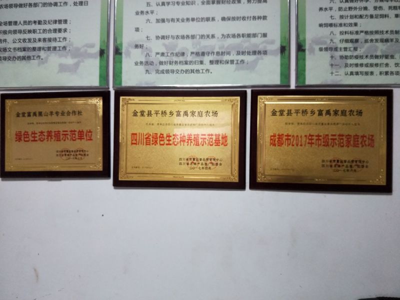 麻羽绿壳蛋50g以下食用