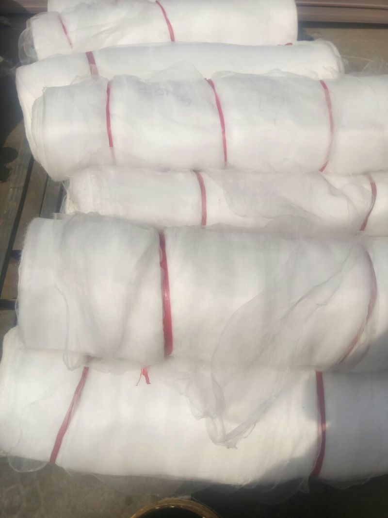 防虫网60目80目100目，耐老化大棚防虫防鸟蚂蚱网