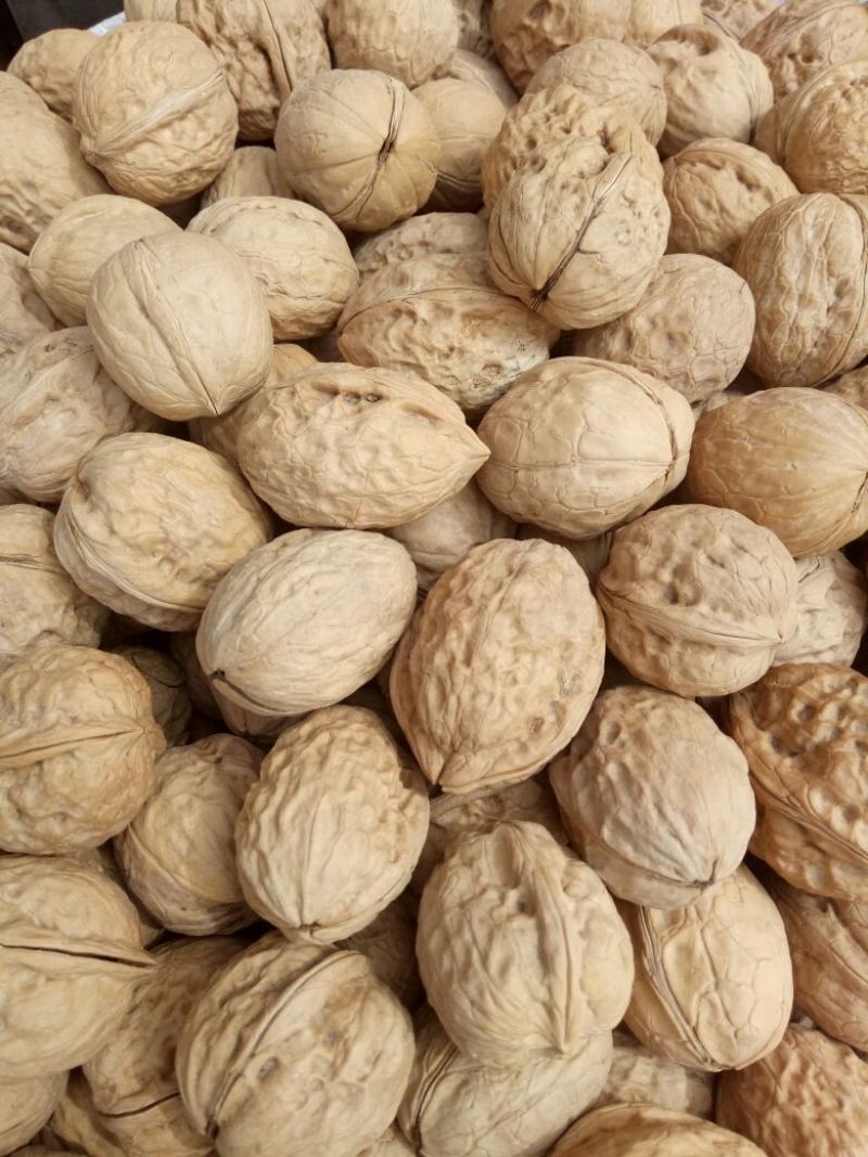 薄皮核桃30mm以上去皮干