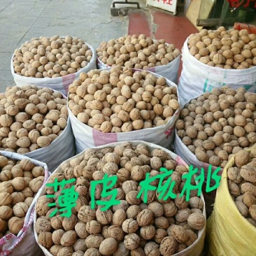 薄皮核桃30mm以上去皮干