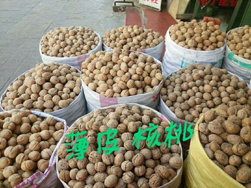 薄皮核桃30mm以上去皮干