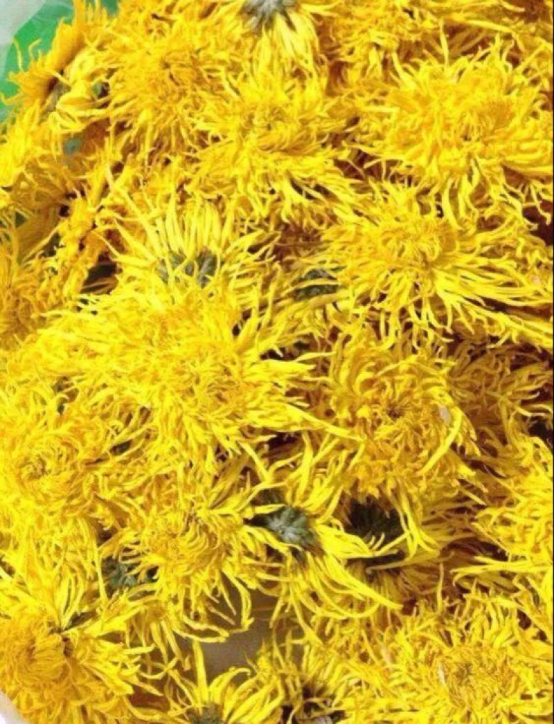 菊花茶特级