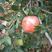 红富士苹果80mm以上膜袋，颜色好，口感脆甜