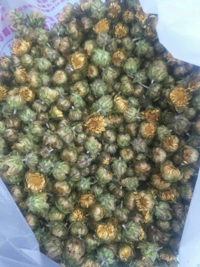 药用菊花袋装