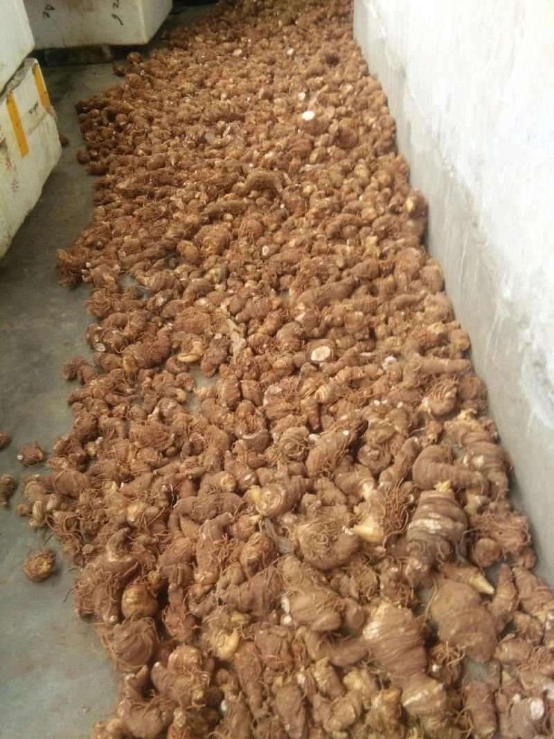 重楼统个干货
