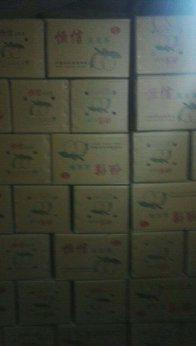 皇冠梨500~550g纸袋