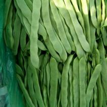 绿扁豆2厘米以上20厘米以上，产地代收，全国各地