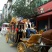 伊犁马300~400kg