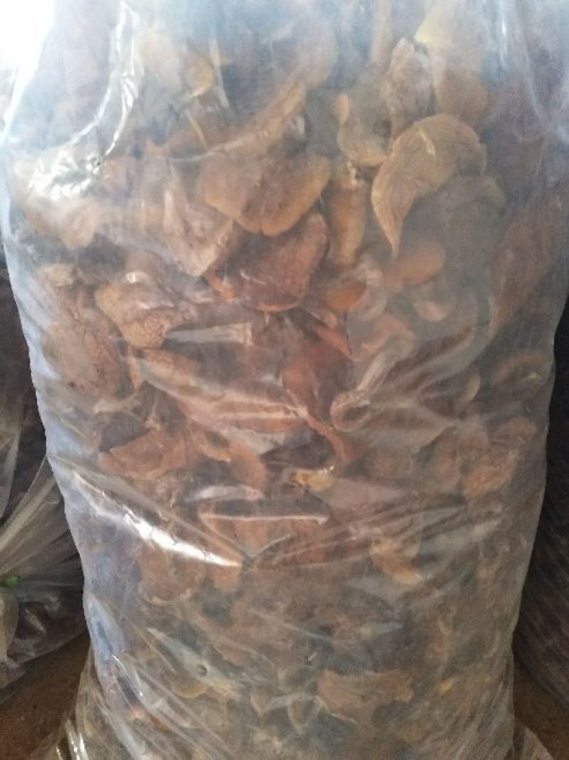 松蘑特级