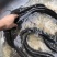 胡子鲶食用