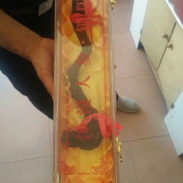 锁阳选货