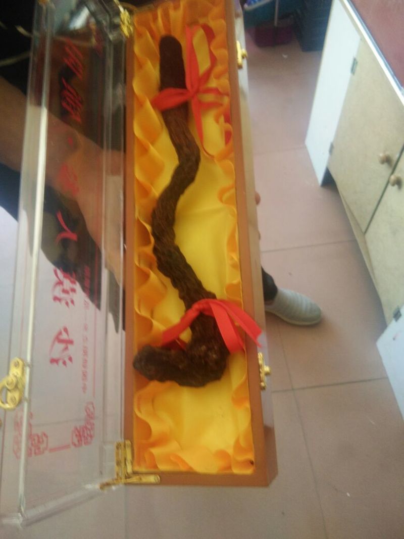 锁阳选货