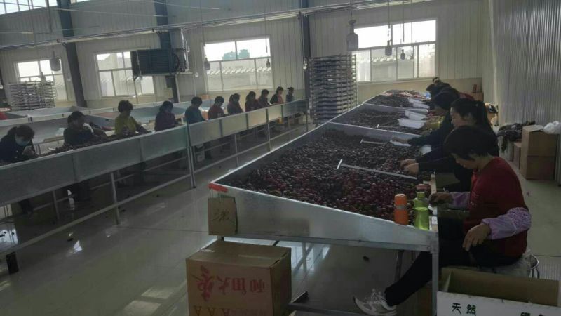 产品红枣厂家一手货源常年大量供应量大从优