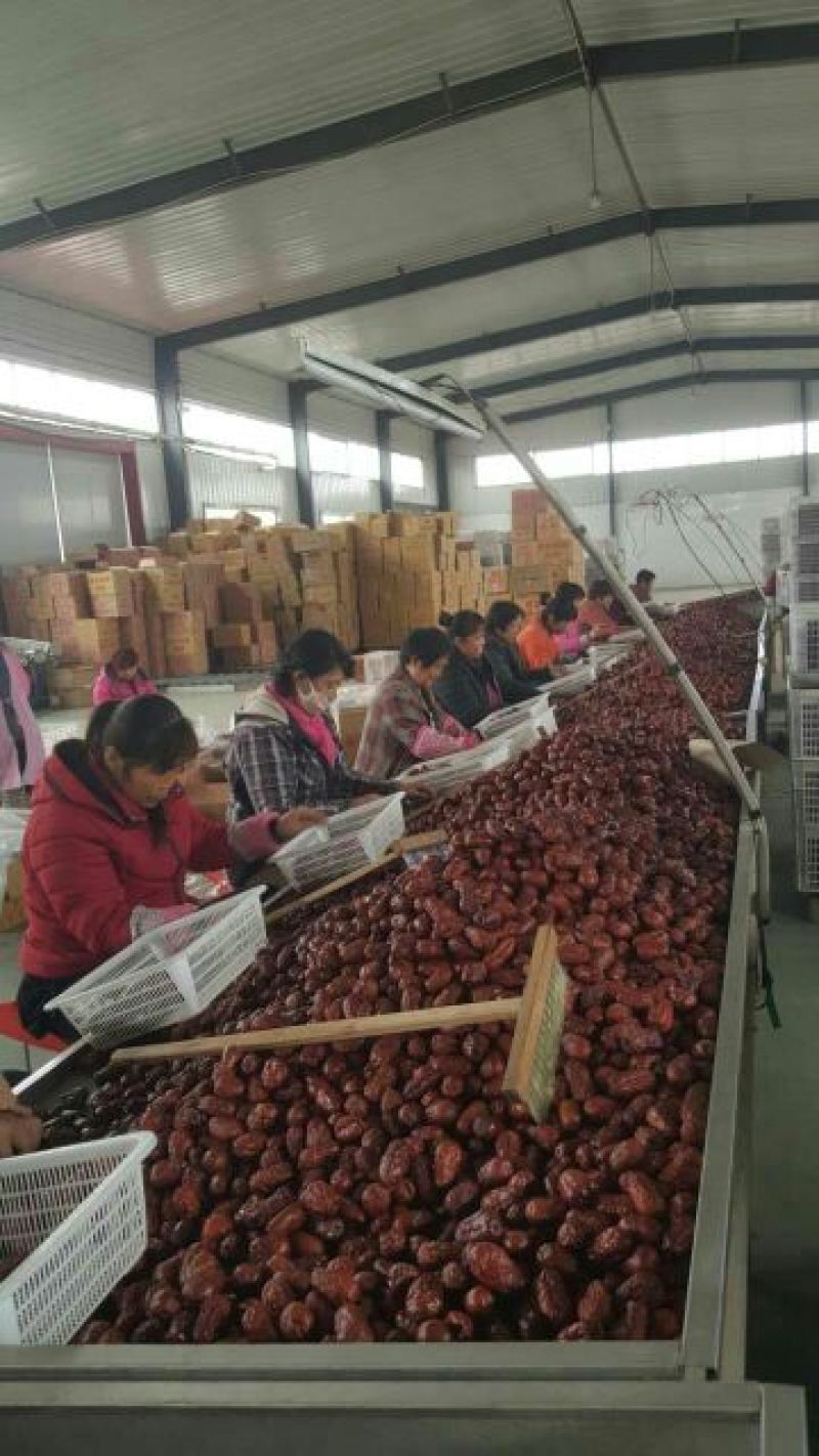 产品红枣厂家一手货源常年大量供应量大从优