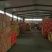 产品红枣厂家一手货源常年大量供应量大从优