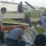 早熟鲜枣基地现摘现发平台电商对接冬枣可一件代发按要求包装