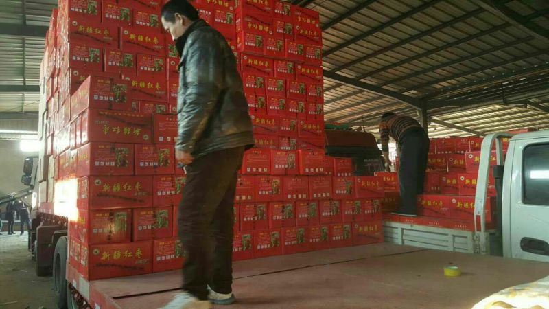 若羌红枣厂家直供一手货源商超品质保质保量