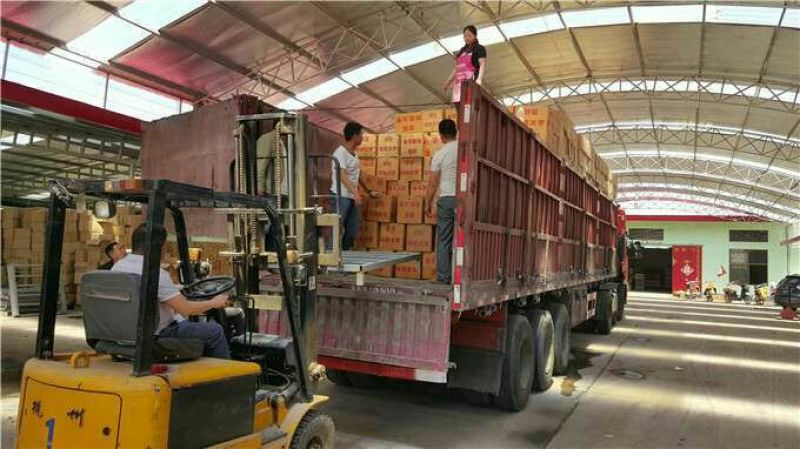和田大枣干枣厂家批发货源充足品质超好