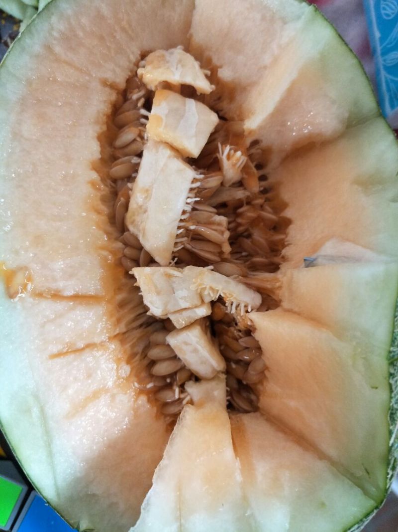 西州蜜瓜3斤以上长圆形