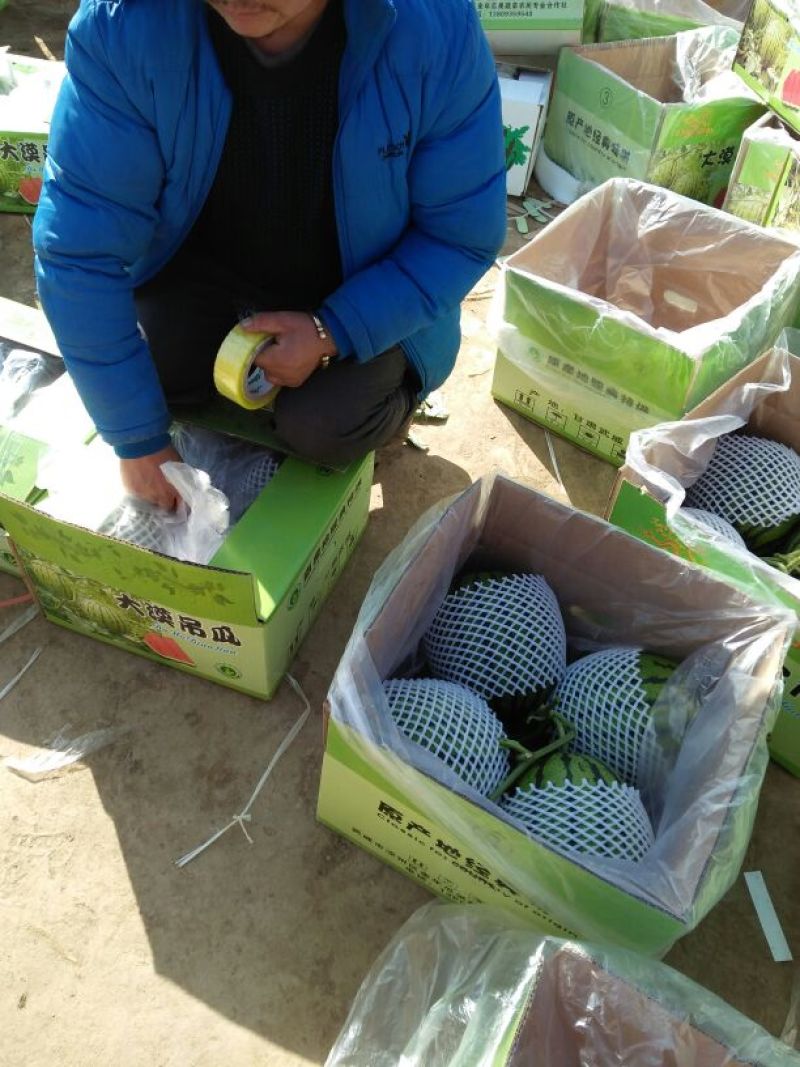 吊西瓜5斤打底9成熟1茬