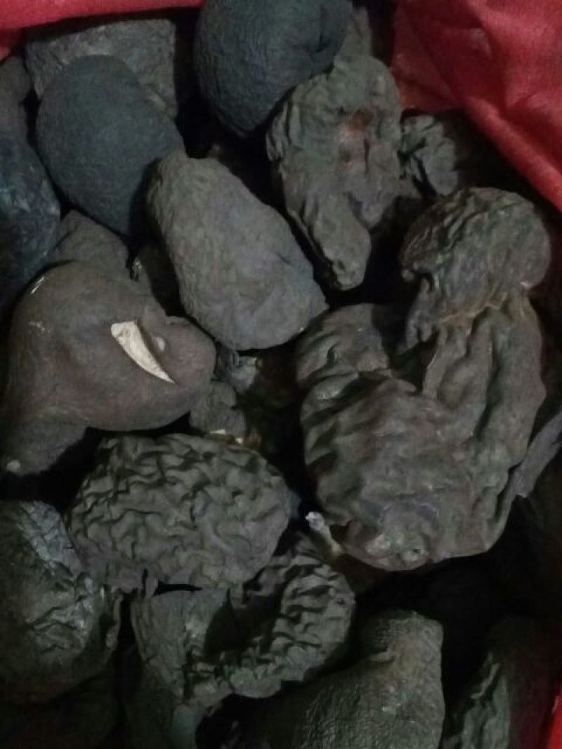 乌灵参