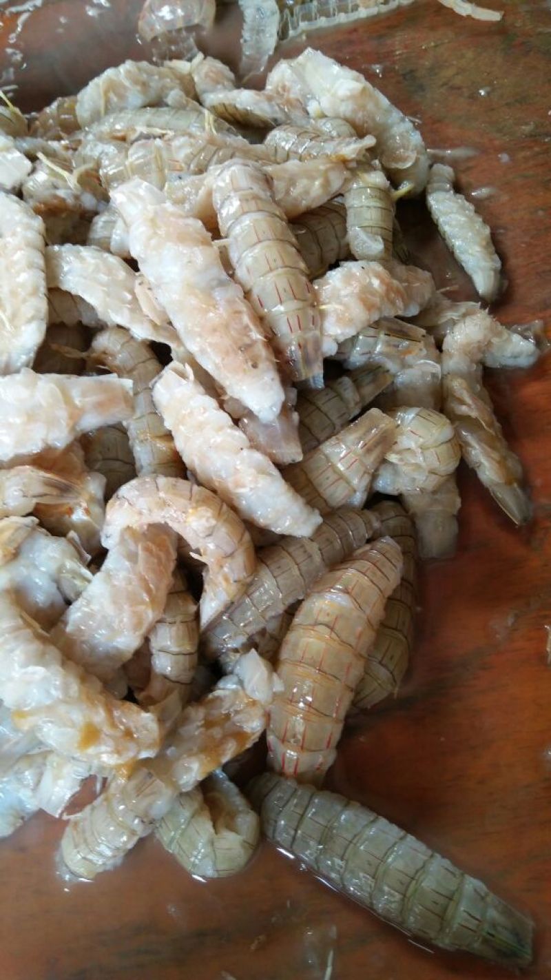 皮皮虾冰鲜虾