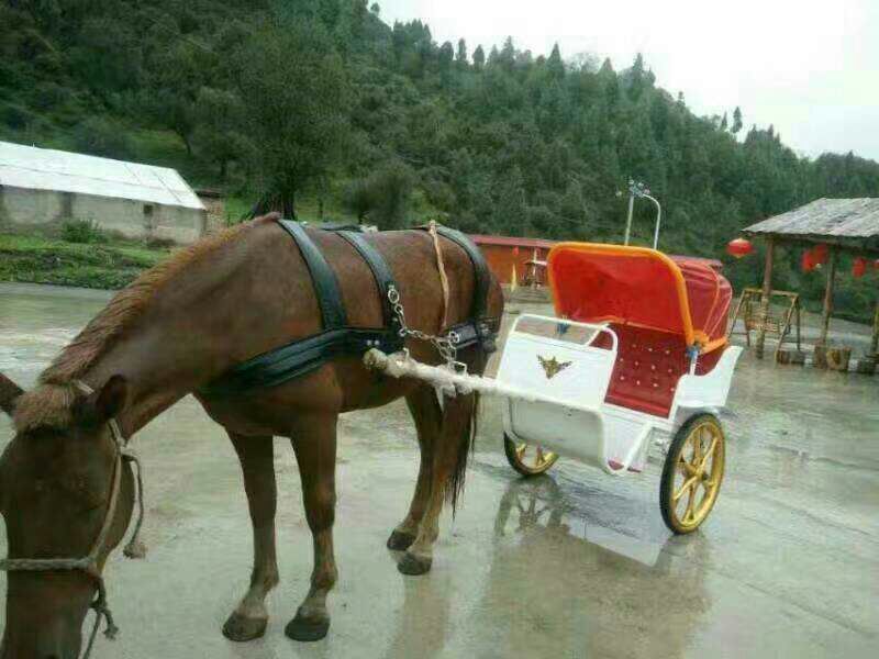 骡子300~400kg