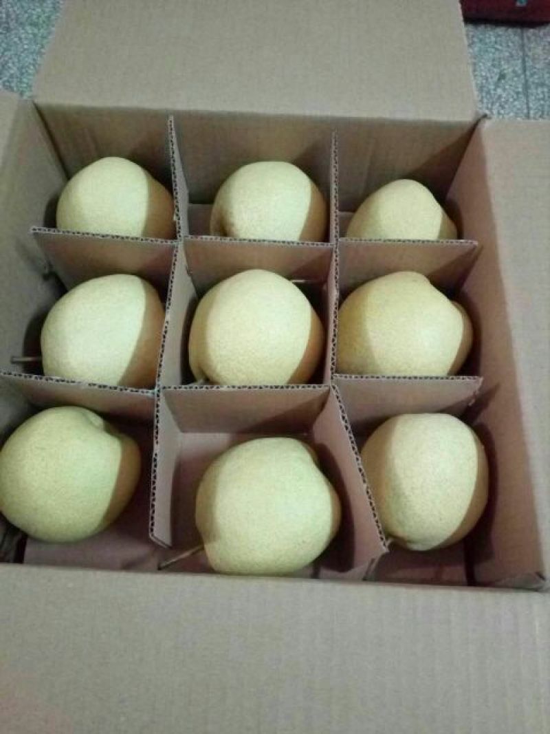 酥梨200~250g纸袋