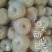 礼泉酥梨150~200g纸箱