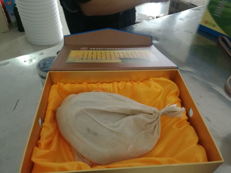 鳖黄河入海口老河道甲鱼