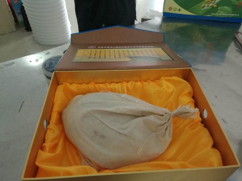 鳖黄河入海口老河道甲鱼