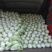 夏阳白菜，3/4斤净菜，河南白菜，通许白菜