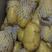 荷兰十五土豆各种规格马铃薯市场、商超、电商、微商支持一件